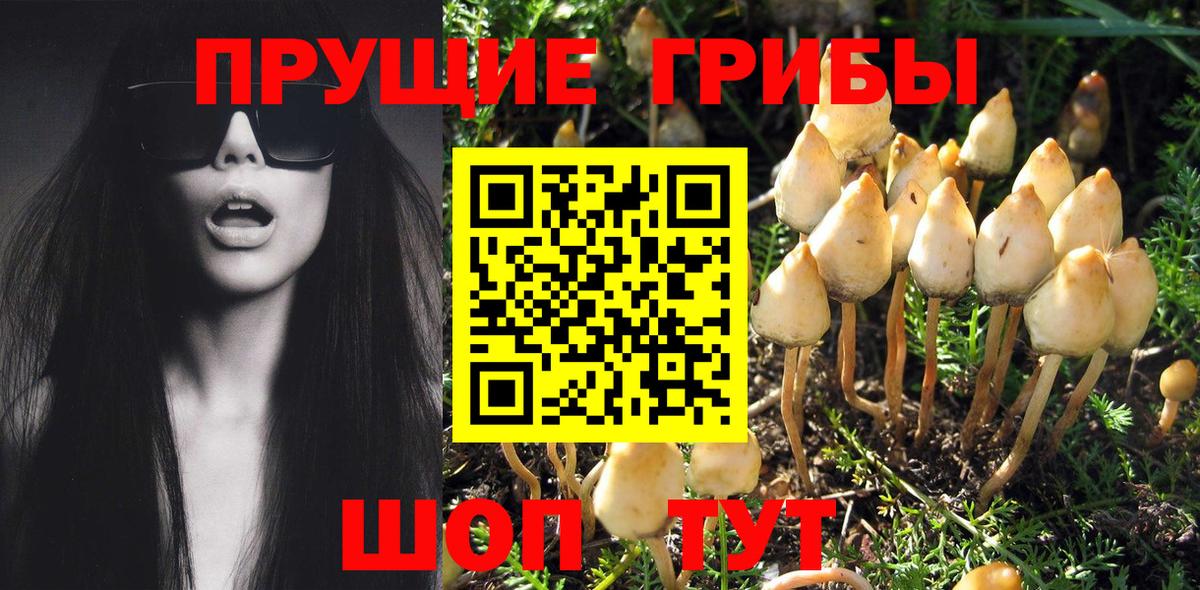 продажа наркотиков  Вход с VPN  Менделеевск  Псилоцибиновые грибы Magic Shrooms 